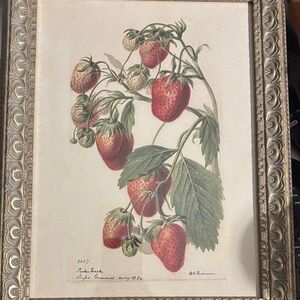 Vintage Botanical Strawberry Print in Ornate Frame  by Parker Earle (signed) HTF